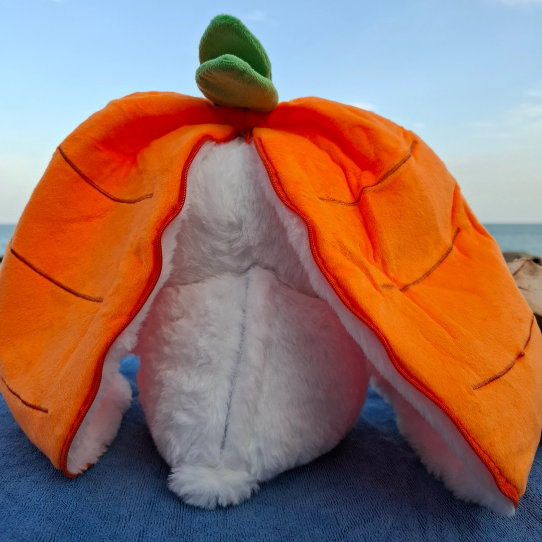 Carrot Bunny | Breathing Plush for Anxiety & Sleep lights of the galaxy